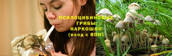 амф Алексин