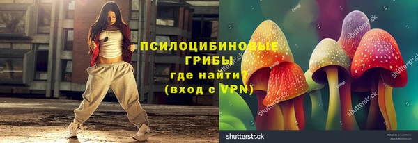 прущие грибы Алексеевка